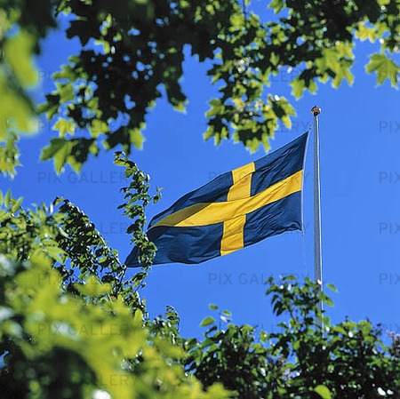 Sveriges Nationaldag